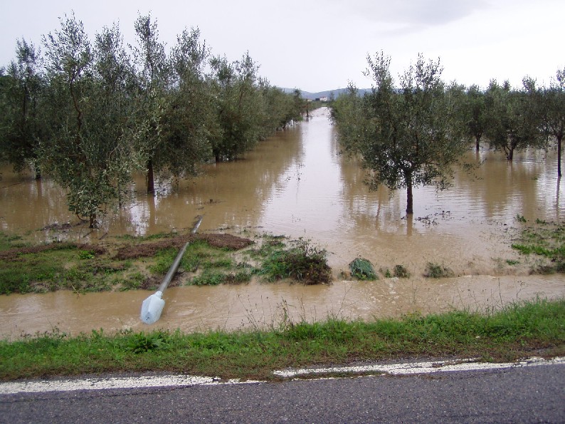 Piogge vere... finalmente?!?